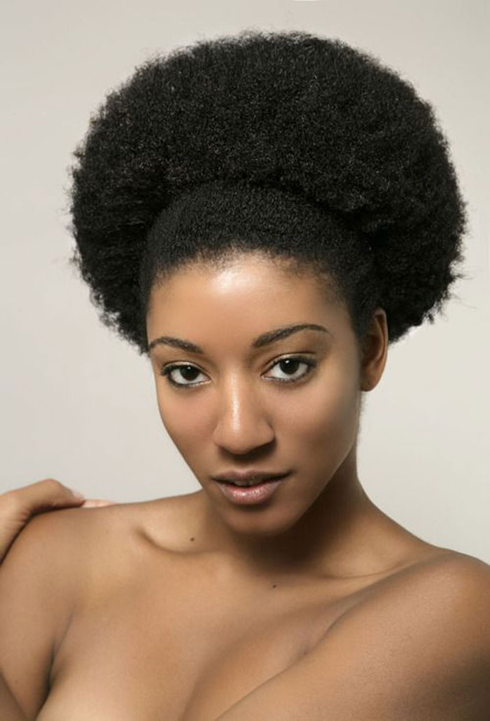 Natural Hairstyles Afro Puff