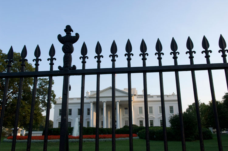 Dominic Adesanya, 23, Jumped Over White House Fence???