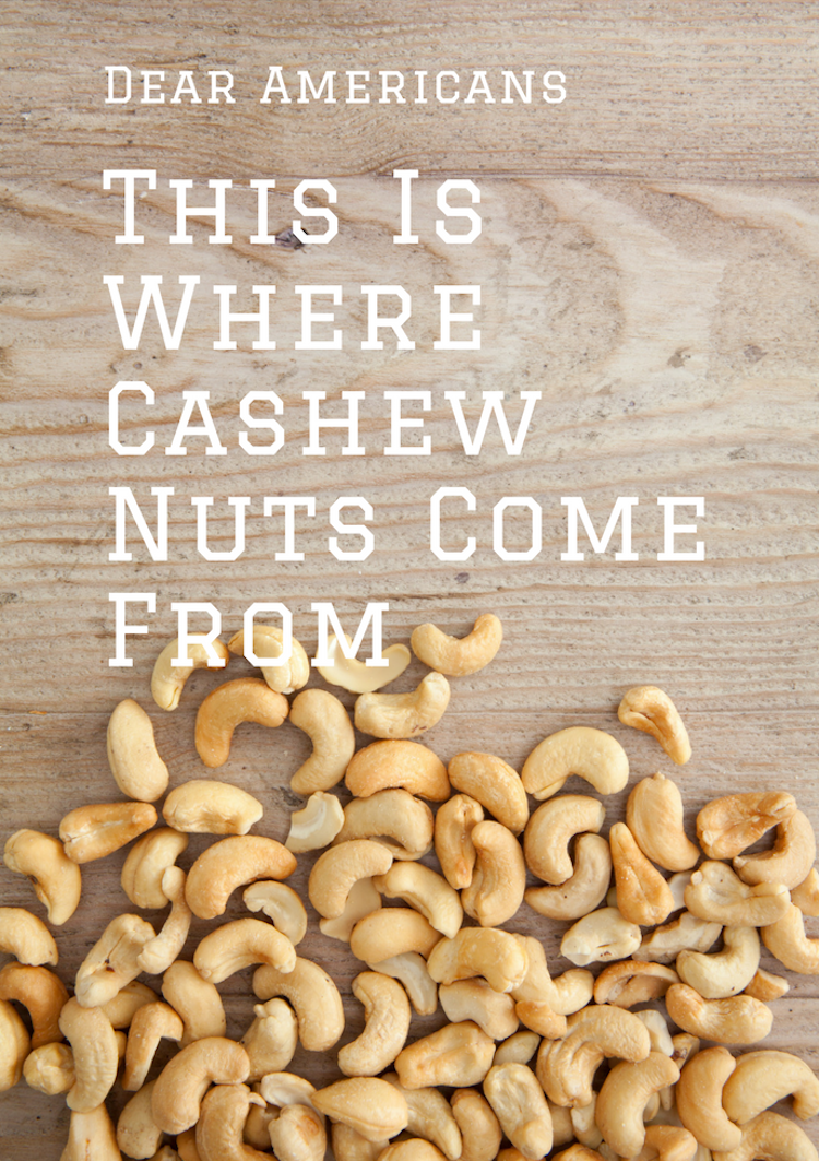 Apparently Americans don't know where cashew nuts come from or that cashew are actually real, edible fruits